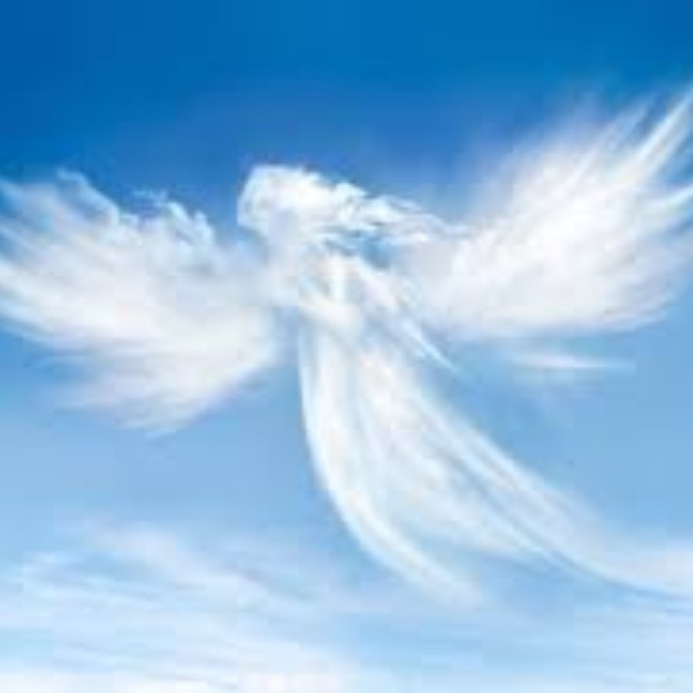 Meet your Posher, Selene